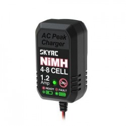 SkyRC eN18 charger with Tamiya