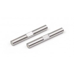 Rear Pivot Pin For C-Hub Spring Steel (2), X307320